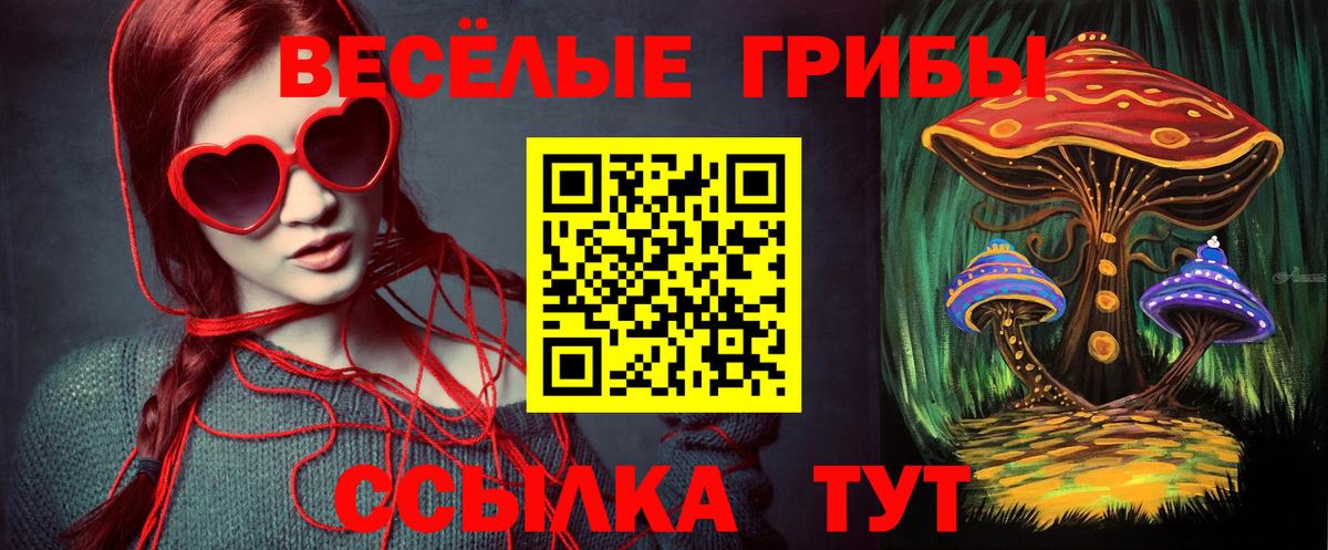 Галлюциногенные грибы Psilocybine cubensis Абинск